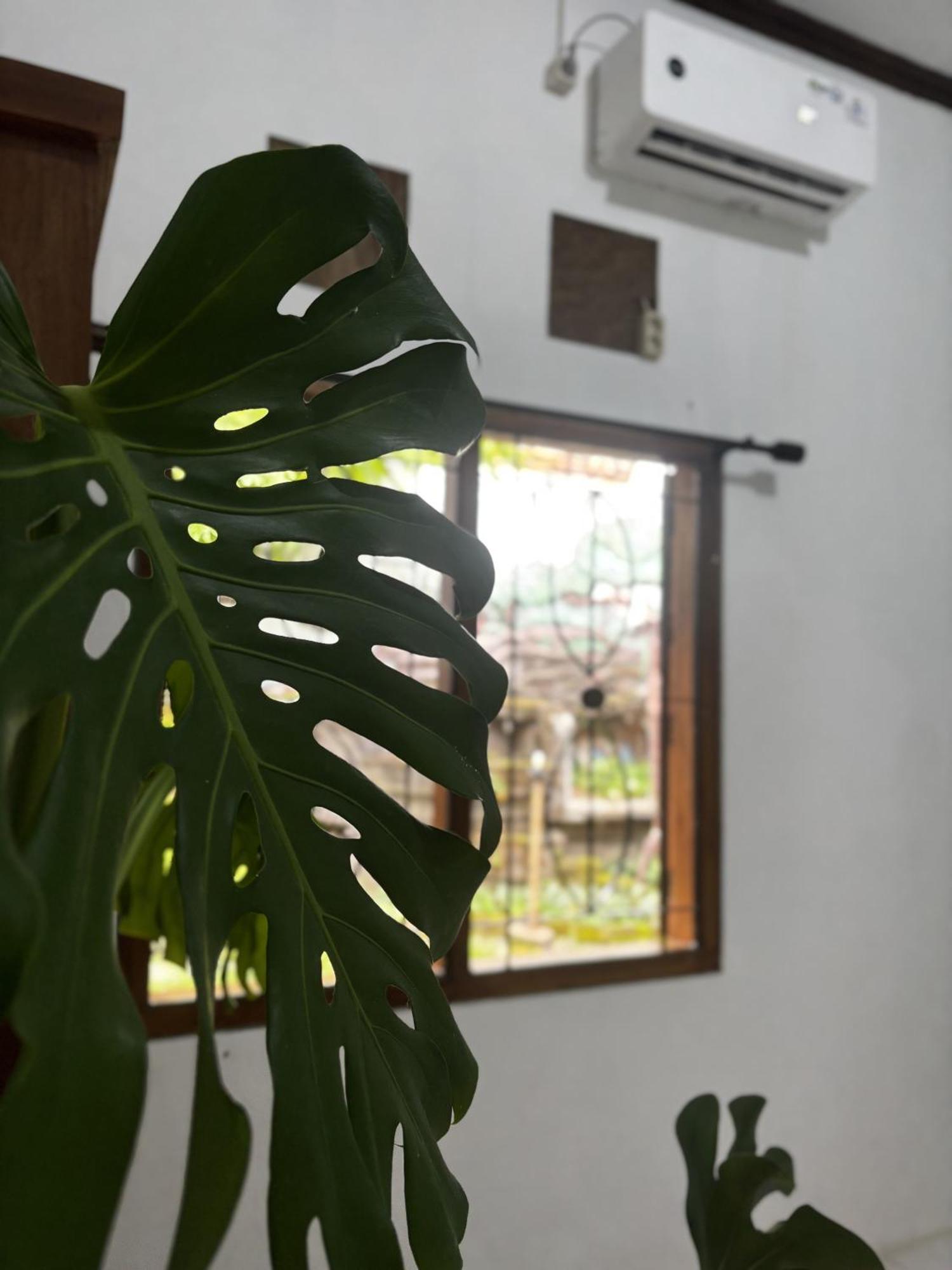 Zzz Hostel Ijen Banyuwangi  Buitenkant foto